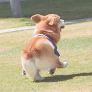 武小郎烧饼的个人资料头像