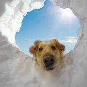 海蓝给自己看295的个人资料头像