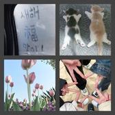 速腾车主路过头像