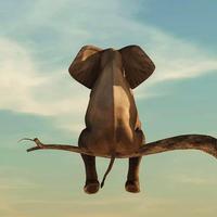 喜气洋洋66689头像