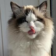 LionChenA的个人资料头像