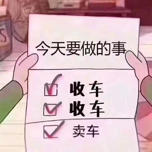 孝志孙头像