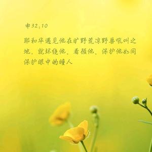 爱思考五家渠5A7头像