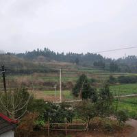 不要问头像