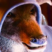 邓傅升的个人资料头像