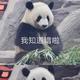 正大光明青山hz头像
