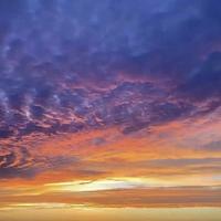 博学多才的冰淇淋QmX头像