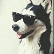 天空好想下雨的个人资料头像