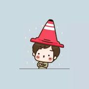 MrElvin的个人资料头像