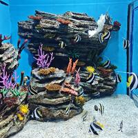 敏锐暖阳X8H头像