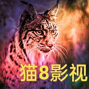 猫8影视头像