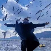 天凉好个秋325的个人资料头像