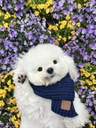 绝艺的个人资料头像