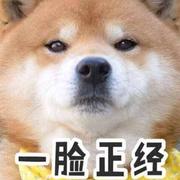 godlikejia的个人资料头像