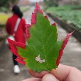 有悟有得头像