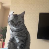 用户8242998434745头像