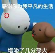 岚小嘉的个人资料头像