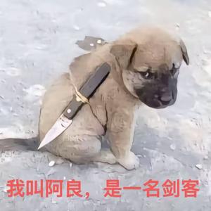 梦幻西游啾啪头像
