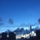 小月君的个人资料头像