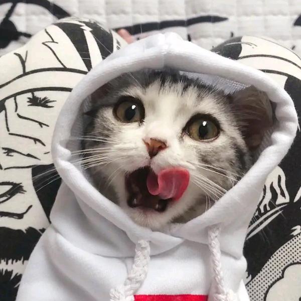 趣点生活汇头像