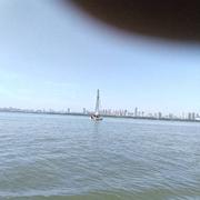 可乐很快乐的个人资料头像