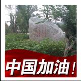 顽强青山C0G头像