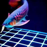 舟行四海111头像