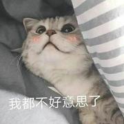 墨家宝贝的个人资料头像