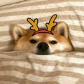 ：头像