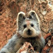 Really的个人资料头像