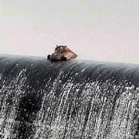 臭球和二驴头像