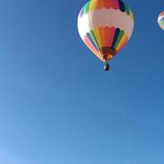 Ramin的个人资料头像