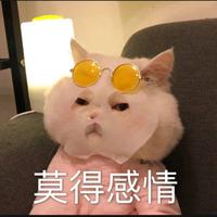 用户9451792295235头像
