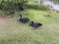 着迷158219829头像