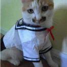 是搬运工呐的个人资料头像