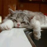 用户966206612260头像