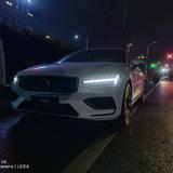 白面Volvo头头像