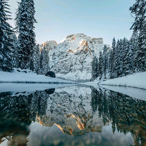 博学多才的乐乐滴爸爸头像