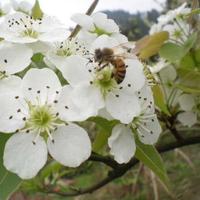 AA梦蒂娜家纺百货头像