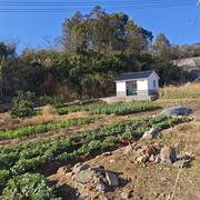 霖北爱种田的个人资料头像