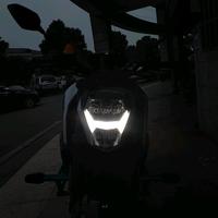 丰富吉尔0x8头像