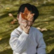 chenh151的个人资料头像