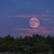 稻子858的个人资料头像