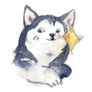 大蒜就犯法啦的个人资料头像