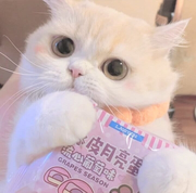 阿妮妹i的个人资料头像