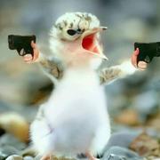 李珊976的个人资料头像