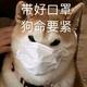 断肠狗在天涯头像