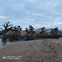 可爱的寻梦在路上头像