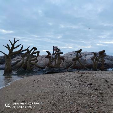 可爱的寻梦在路上头像