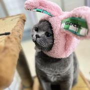 不及923的个人资料头像